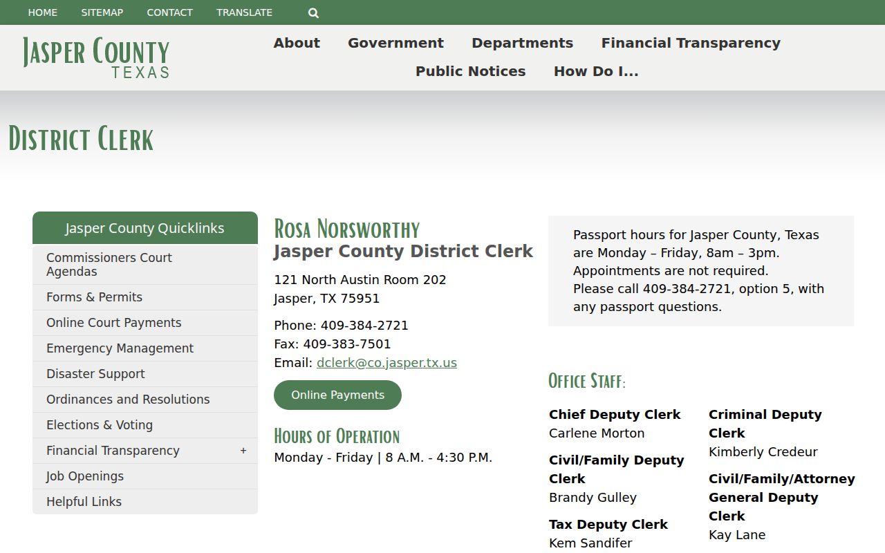 Jasper County court records District Clerk page